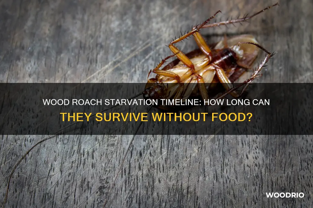 how long does it take a wood roach starve