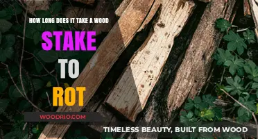 Wood Stake Decay Timeline: Factors Affecting Rotting Process and Durability