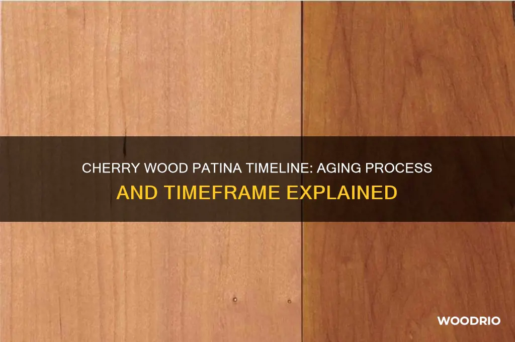 how long does it take cherry wood to patina