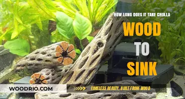 Cholla Wood Sinking Time: Factors Affecting Submersion in Aquariums