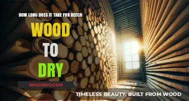Drying Beech Wood: Understanding the Timeframe for Optimal Results