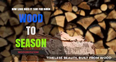 Birch Wood Seasoning Time: A Comprehensive Guide to Drying Process