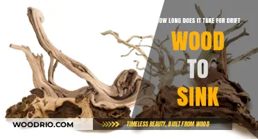 Driftwood Sinking Time: Factors Affecting How Long It Takes to Submerge