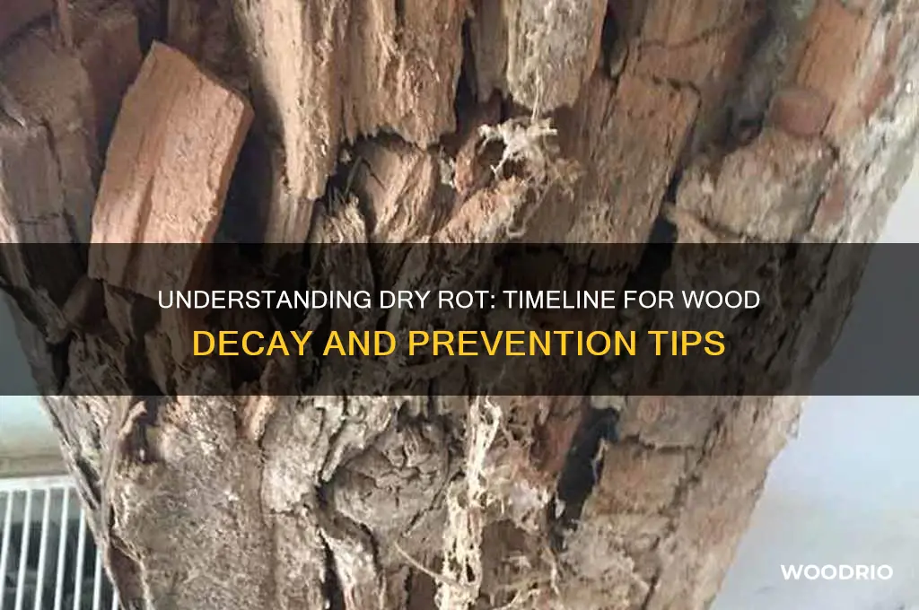 how long does it take for dryrot to rot wood
