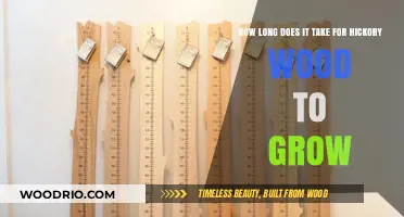 Hickory Wood Growth Timeline: Understanding the Time It Takes to Mature