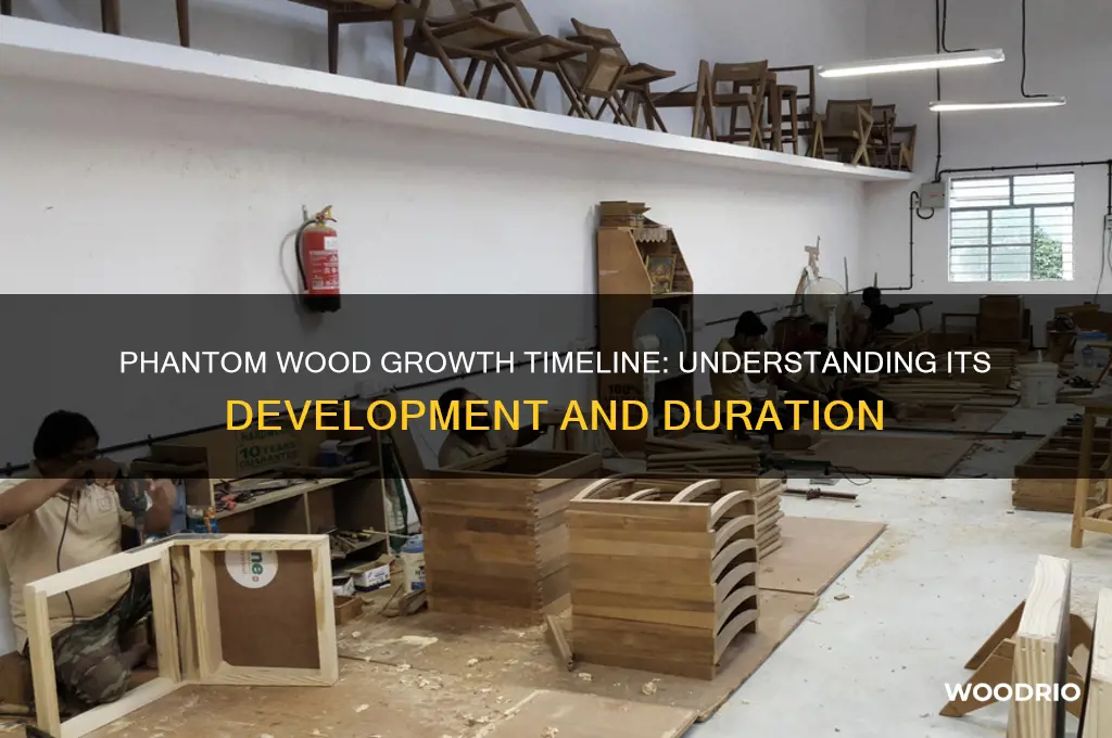 how long does it take for phantom wood to grow