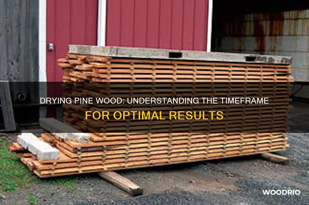 how long does it take for pine wood to dry
