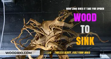 How Long Does Spider Wood Take to Sink in Aquariums?