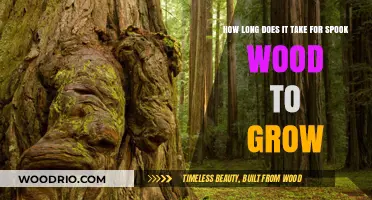 Spook Wood Growth Timeline: Understanding the Development of This Unique Tree