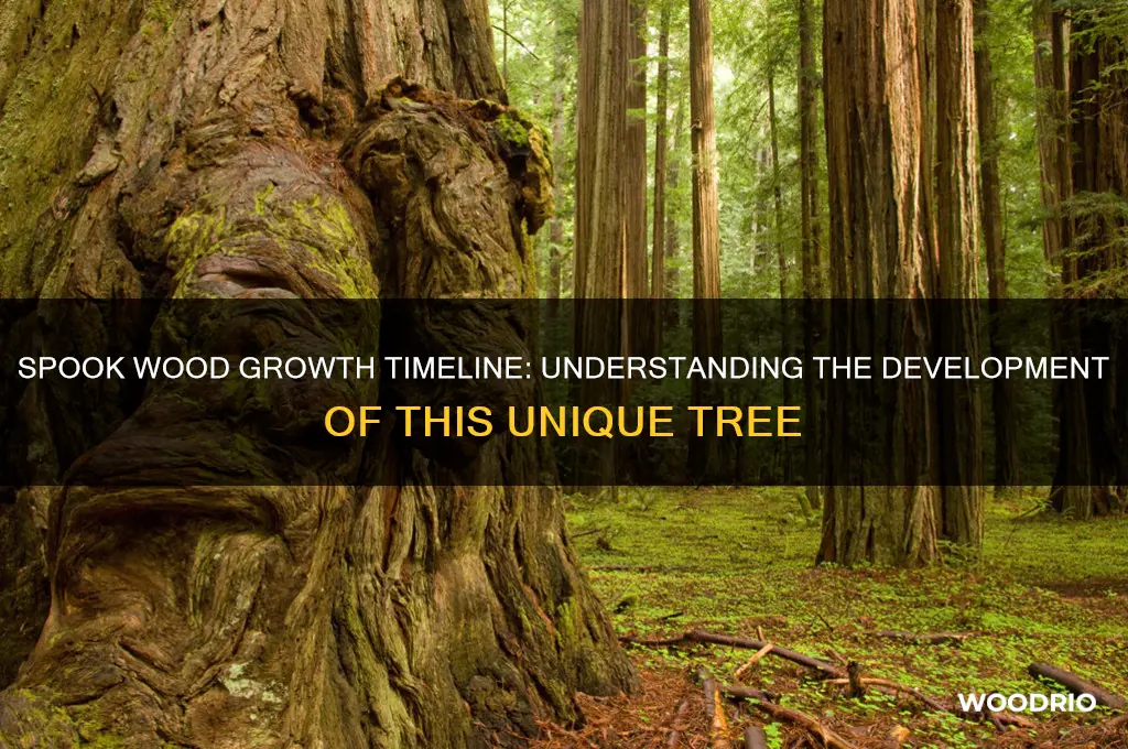 how long does it take for spook wood to grow