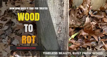 Treated Wood Lifespan: How Long Before Rot Sets In?