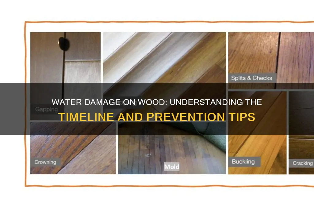 how long does it take for water to damage wood