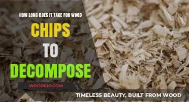 Wood Chip Decomposition Timeline: Factors Affecting Breakdown in Nature