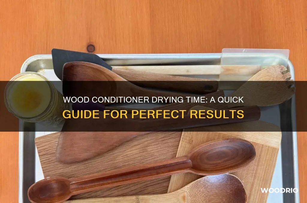 how long does it take for wood conditioner to dry