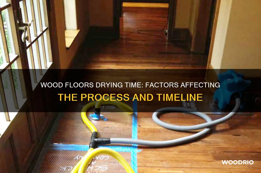 how long does it take for wood floros to dry