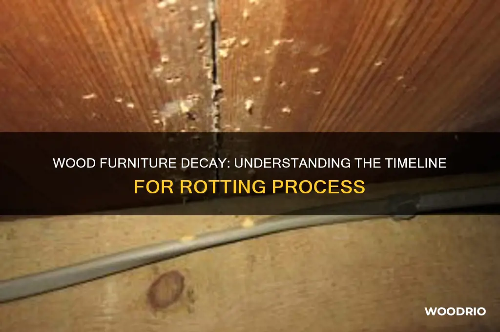 how long does it take for wood furniture to rot
