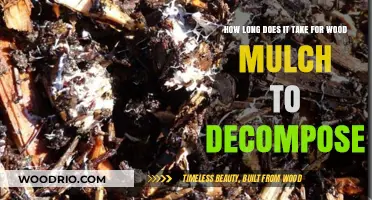 Wood Mulch Decomposition Timeline: Factors Affecting Breakdown and Nutrient Release