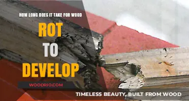 Understanding Wood Rot: Factors Influencing Decay Development Timeline