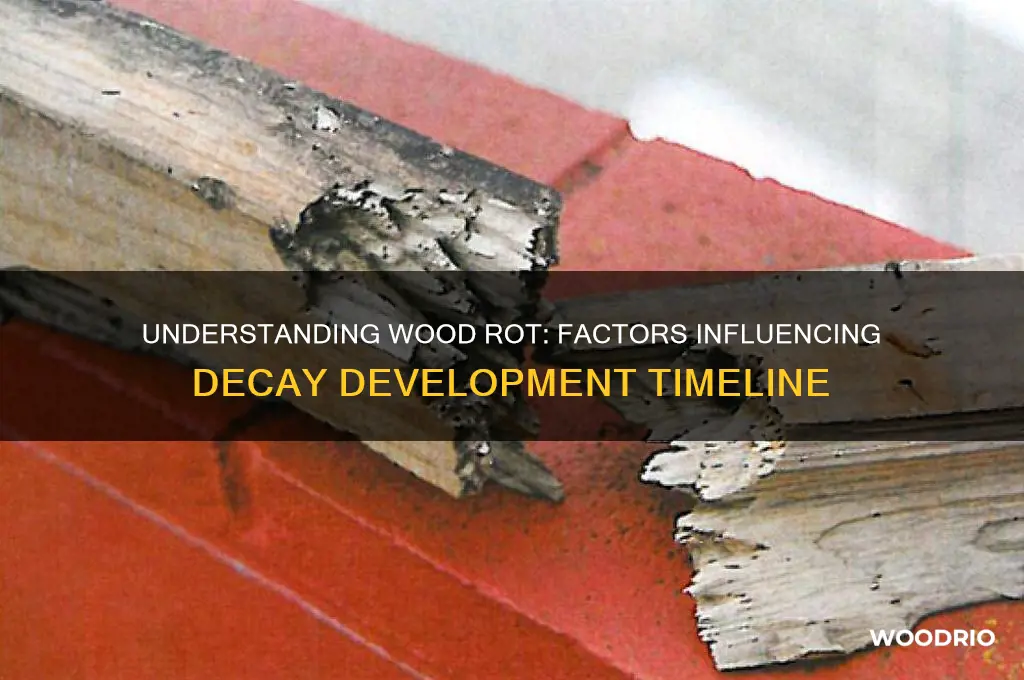 how long does it take for wood rot to develop