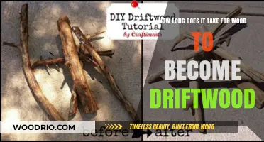Transforming Timber: The Driftwood Creation Process and Timeline Explained