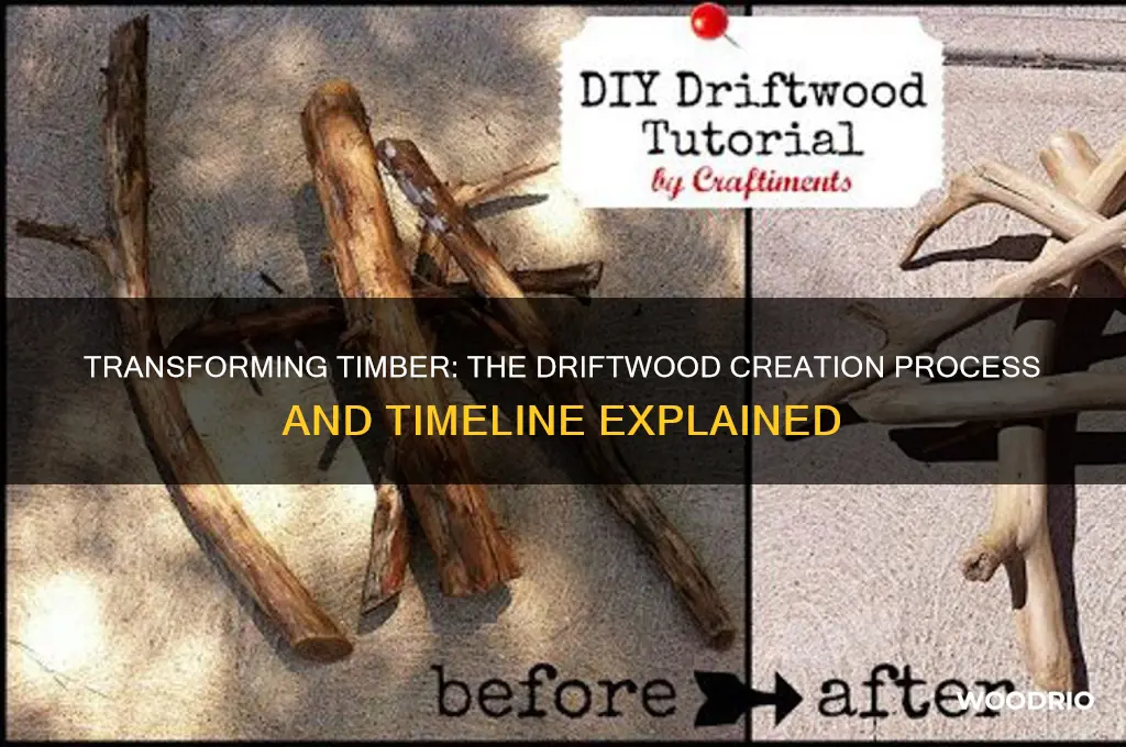 how long does it take for wood to become driftwood