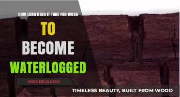 Understanding Waterlogged Wood: Factors Affecting Timber's Absorption Timeframe