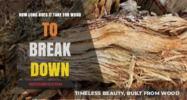 Wood Decomposition Timeline: Factors Affecting Breakdown and Decay Process