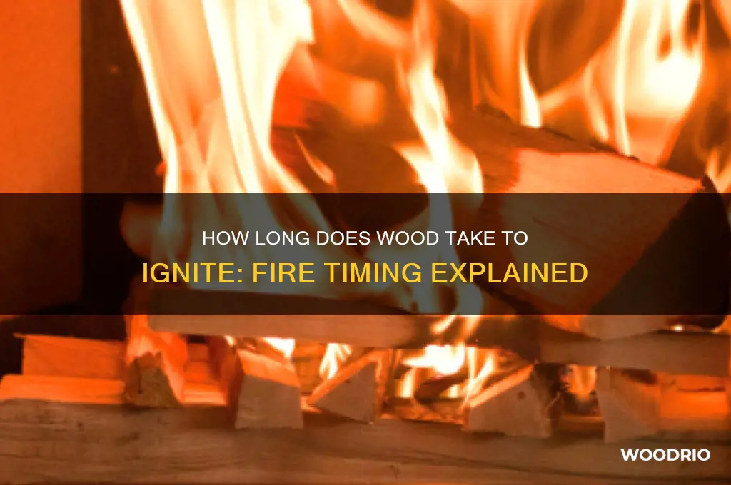 how long does it take for wood to catch fire
