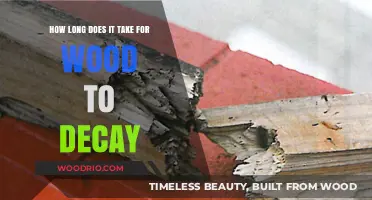Wood Decay Timeline: Factors Affecting Decomposition and Breakdown Process