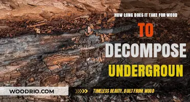 Wood Decomposition Underground: Factors Affecting Breakdown Time and Process