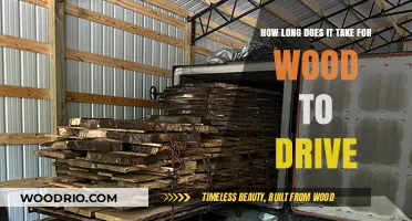 Understanding Wood Drying Time: Factors and Duration Explained