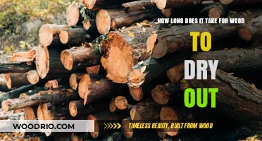 Wood Drying Time: Factors Affecting Moisture Loss and Optimal Conditions
