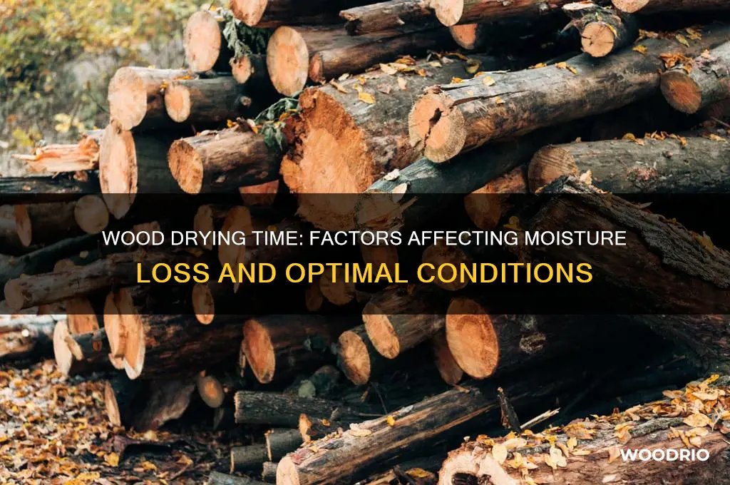 how long does it take for wood to dry out