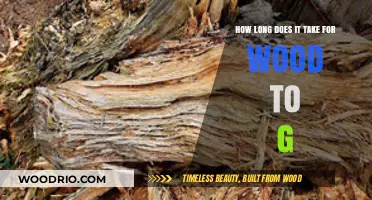 Understanding the Time It Takes for Wood to Decompose Naturally