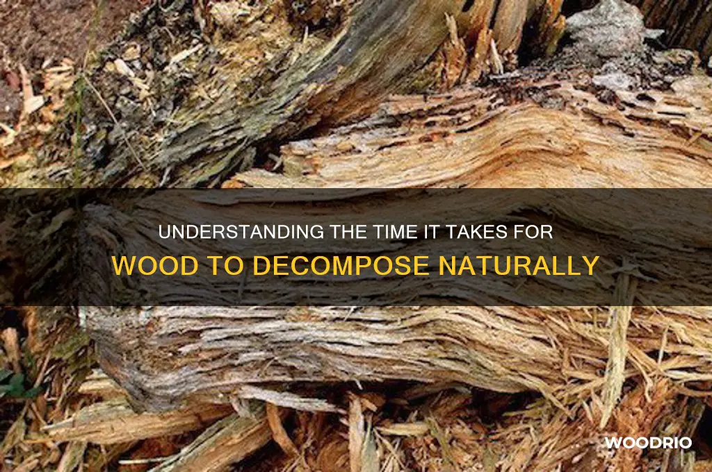 how long does it take for wood to g