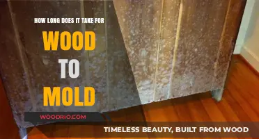 Understanding Wood Mold Growth: Factors Affecting Timeframe and Prevention