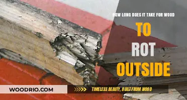 Wood Decay Timeline: How Long Does Outdoor Wood Last Before Rotting?