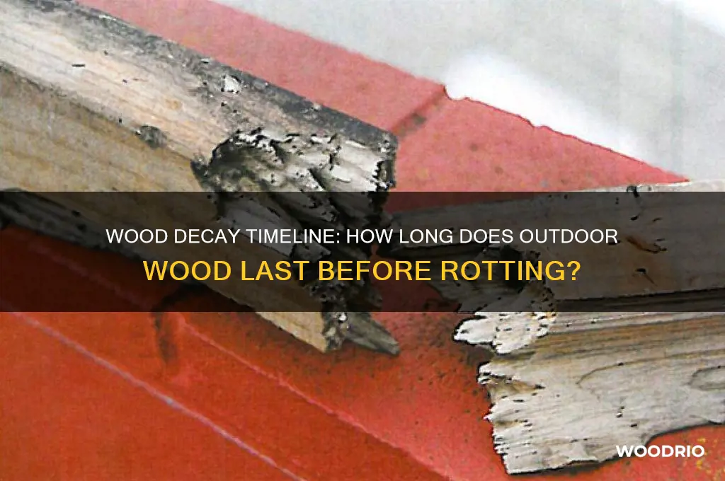 how long does it take for wood to rot outside