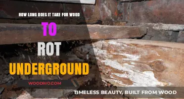 Wood Decay Underground: Factors Affecting Rotting Time and Durability