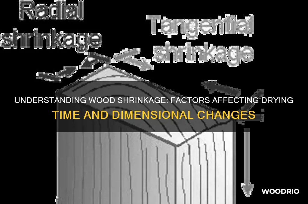 how long does it take for wood to shrink