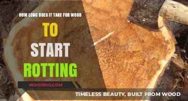 Understanding Wood Rot: Factors Affecting Decay and Prevention Tips