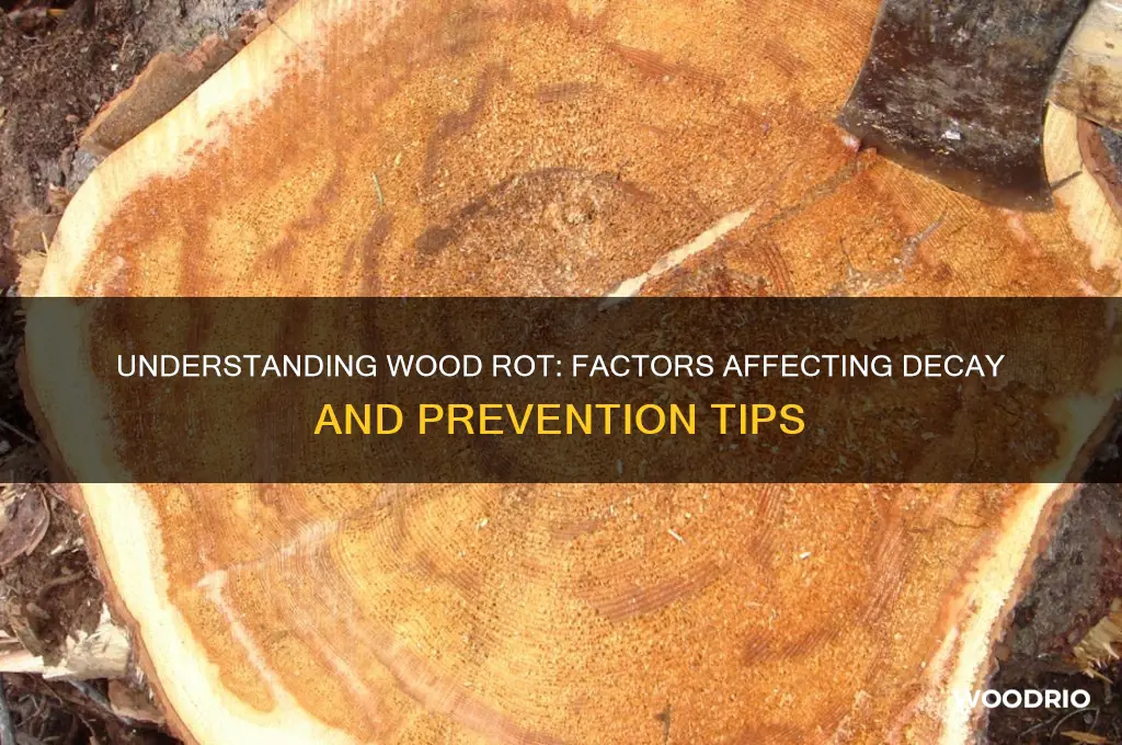 how long does it take for wood to start rotting