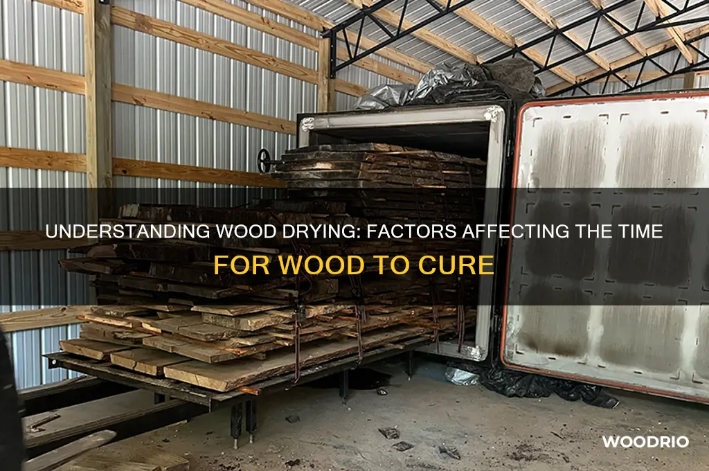 how long does it take for wood to
