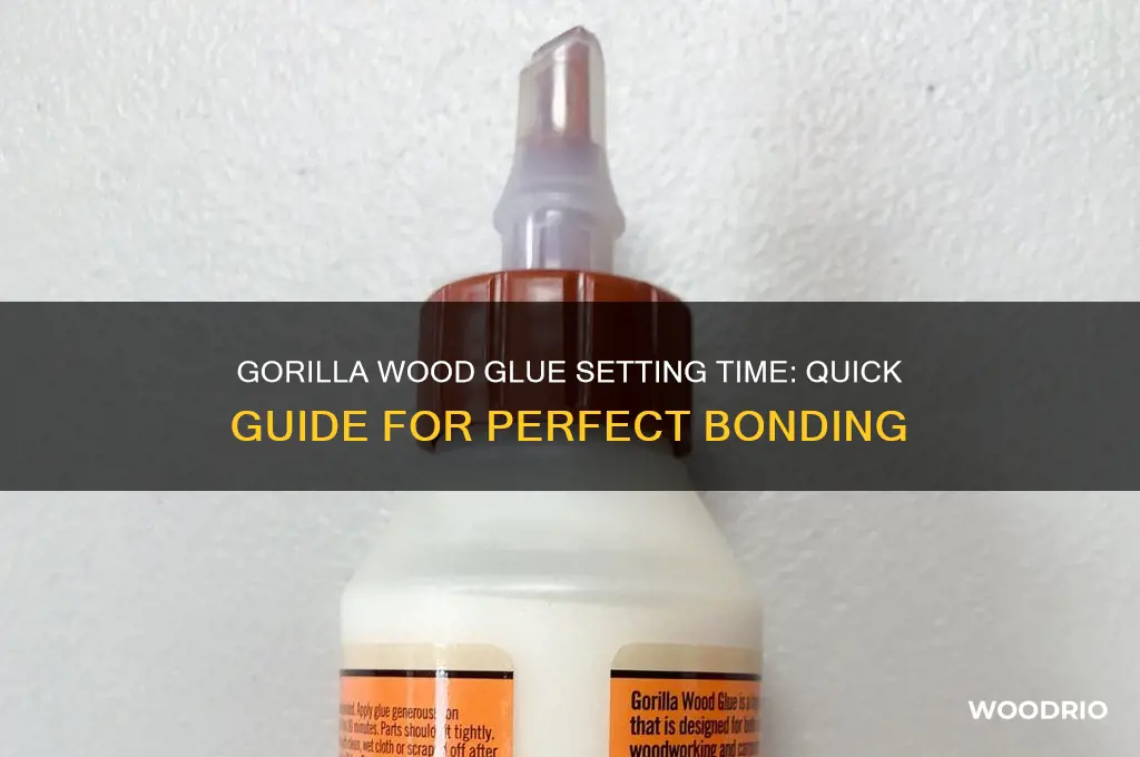 how long does it take gorilla wood glue to set