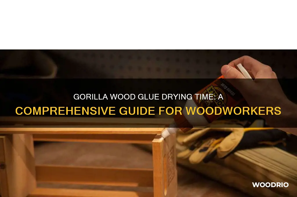 how long does it take gorilla wood gue to dry