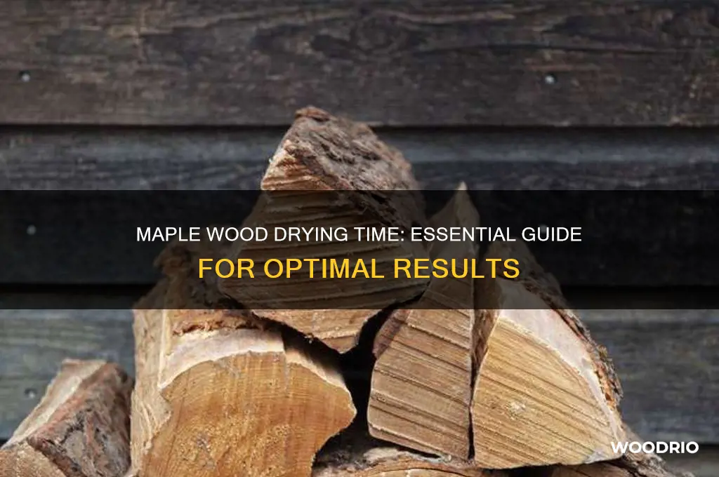 how long does it take maple wood to dry