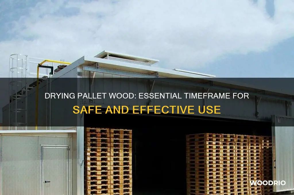 how long does it take pallet wood to dry