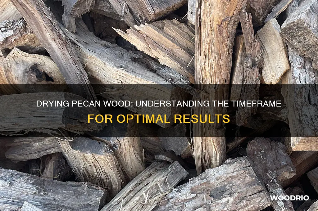 how long does it take pecan wood to dry out