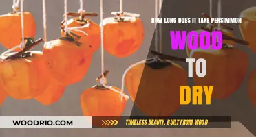 Drying Persimmon Wood: Timeframe and Best Practices for Optimal Results
