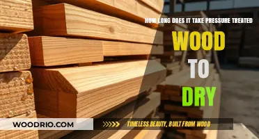 Drying Time for Pressure Treated Wood: What to Expect